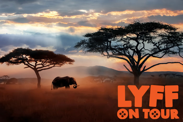 LYFF on Tour Presents Around the World Shorts