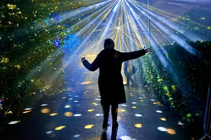 The Glittering Grove