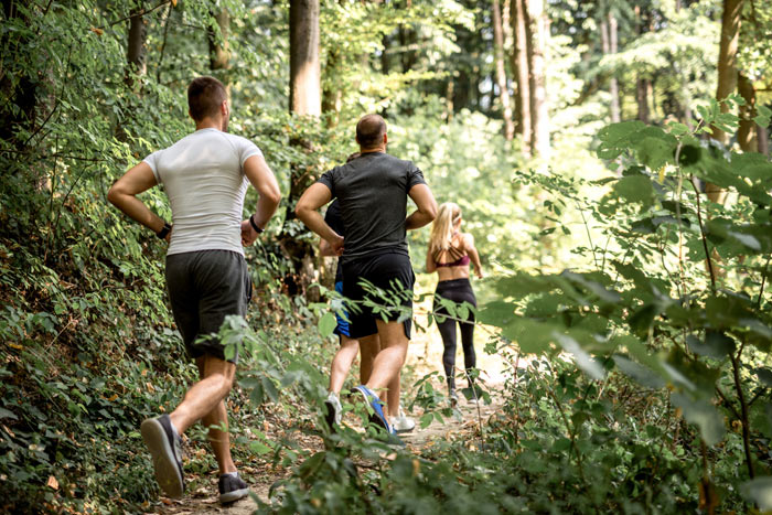 Wild Run