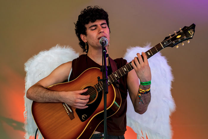 The Wilderwild Stage