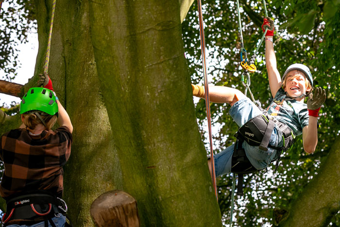 Tree Climbing