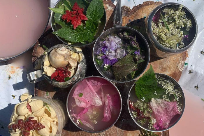 Wild Potions