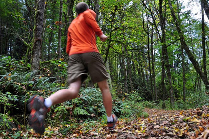 Wild Run 