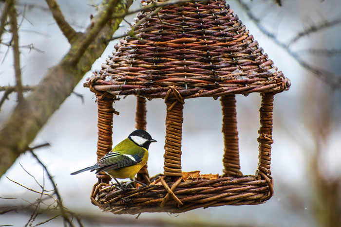 Willow Bird Feeders