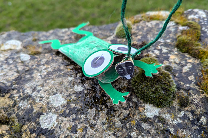 Frog Fly Flippers