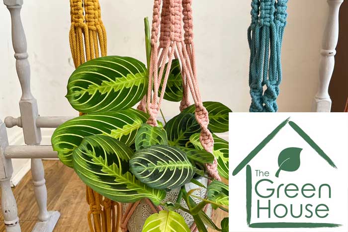 Macrame with The Green House
